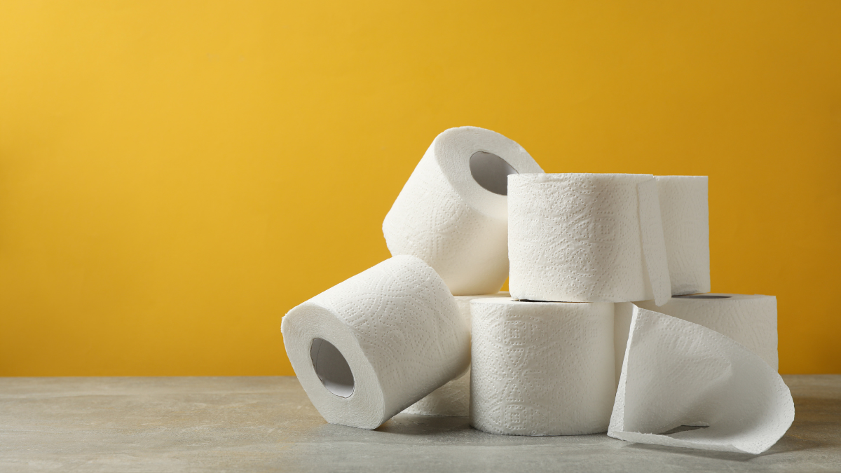 MELHOR PAPEL HIGIÊNICO